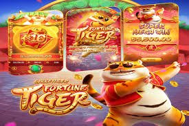 513slot apk မြန်မာ Sportsbook ဘောလုံးနှင့် Esports လောင်းကစားပွဲများ